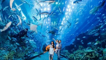 Dubai Aquarium and Underwater Zoo in Dubai Mall