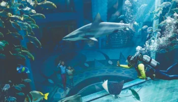 Atlantis Aquarium