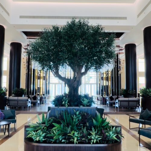 Ayla Grand Hotel Djibouti
