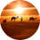  Desert Safari,Dubai