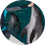 Dubai Dolphinarium