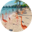Flamingo Beach