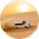 Desert Safari in Abu Dhabi